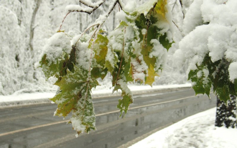 Первый снег в Липецкой области
