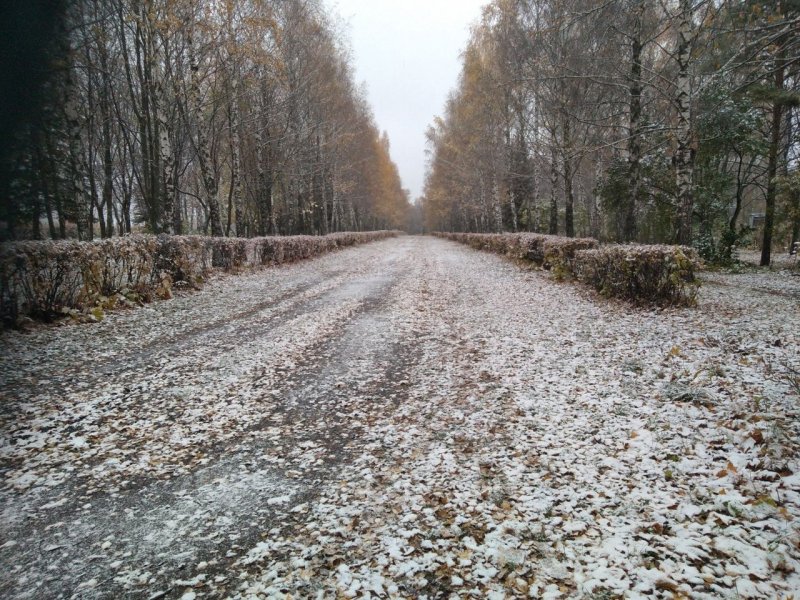 Первый снег в Перми
