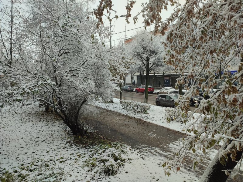 Первый снег в Ростове на Дону