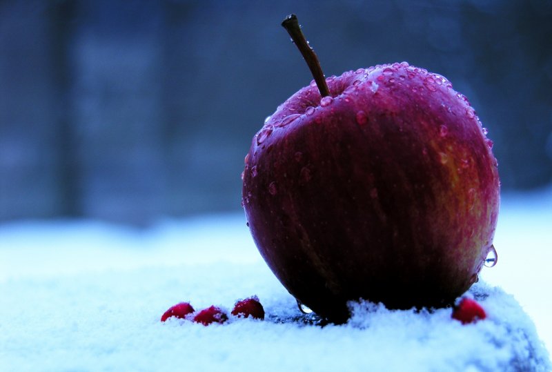 Яблоки зимние красные