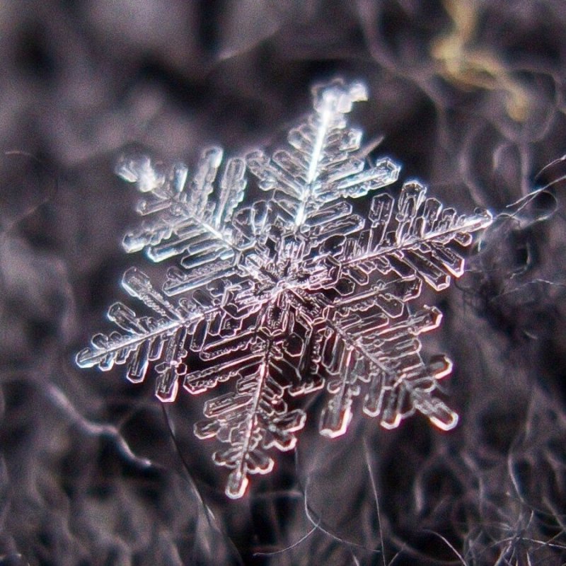 Кристаллы льда и снежинки