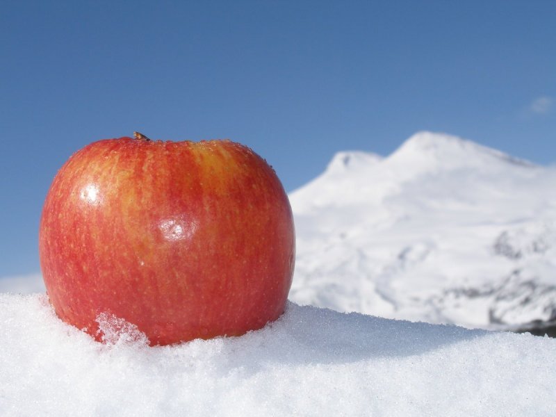 Красное яблоко на белом снегу