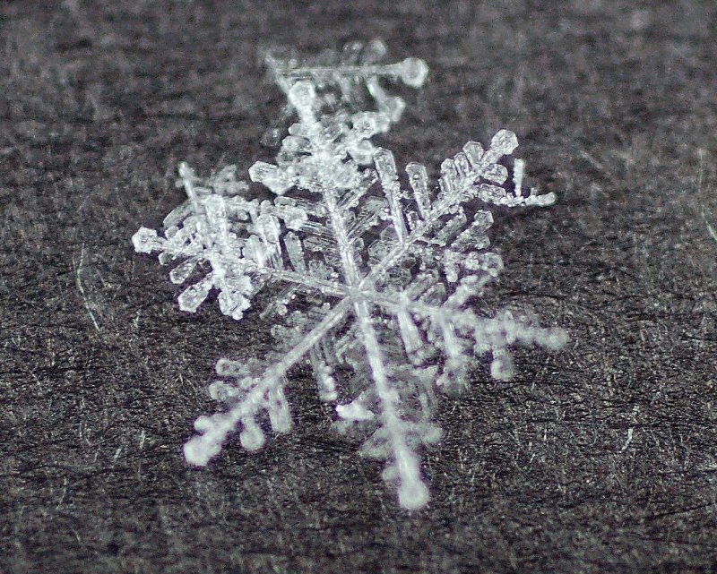 Вид снежинки под микроскопом