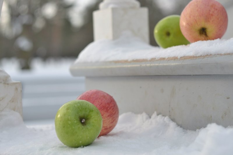 Обои на рабочий стол яблоки на снегу
