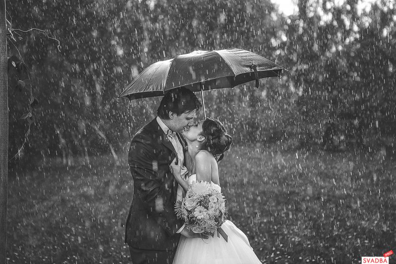 Свадебная фотосессия под дождем с чёрным зонтиком