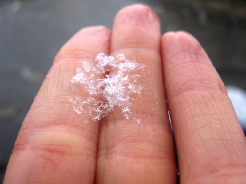 Снежинка на руке макро