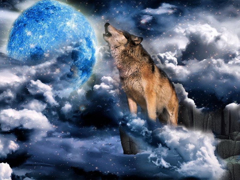 Волк и Луна обои