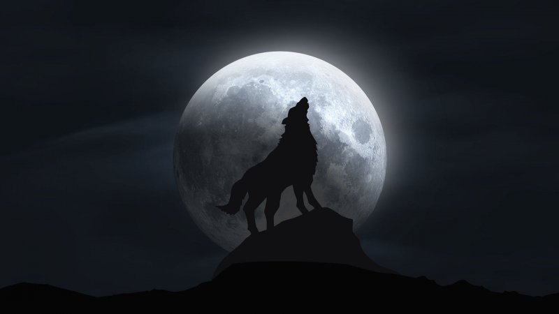 Волчья Луна