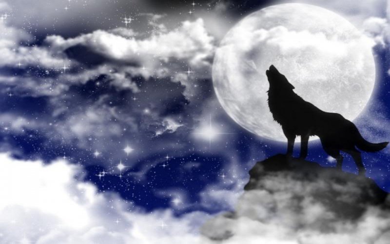 Полнолуние Волчья Луна