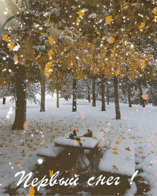 Снег осенью
