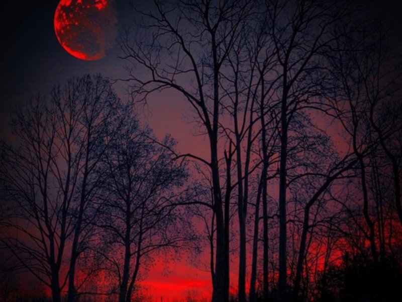 Огромная красная Луна
