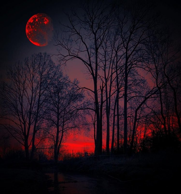 Лунное затмение Кровавая Луна 2019