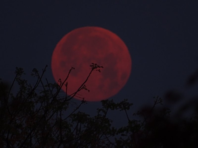 Кровавая Луна Миасс