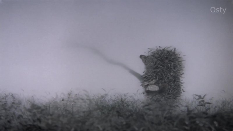 Ёжик в тумане Союзмультфильм 1975