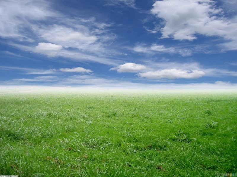Облака трава