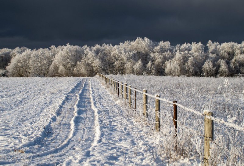 Русское поле зимой