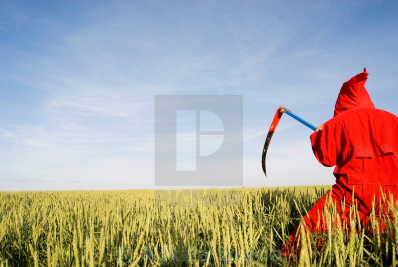 Жнец на Красном поле