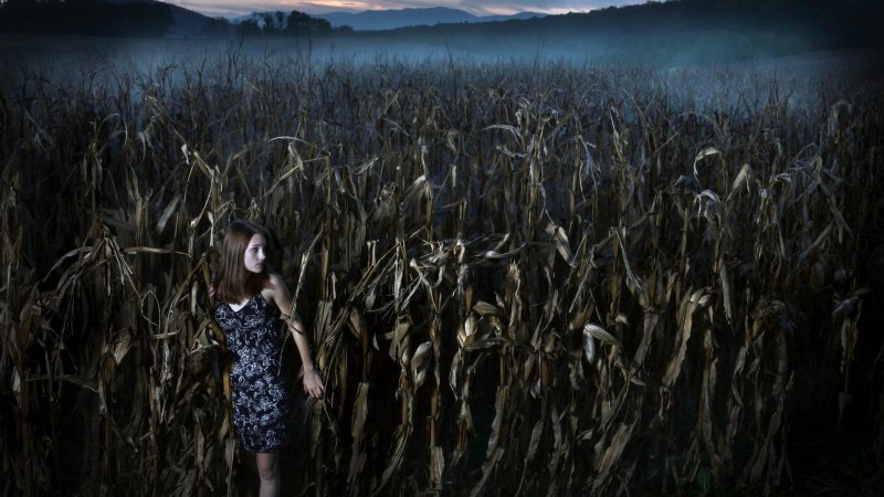 Страшное кукурузное поле