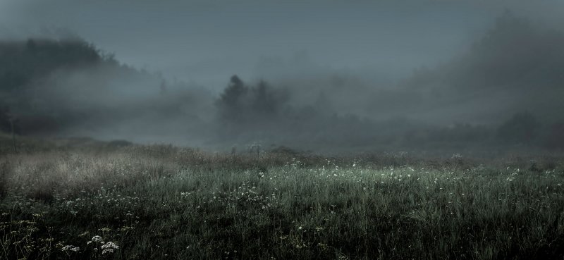 Мрачное поле в тумане