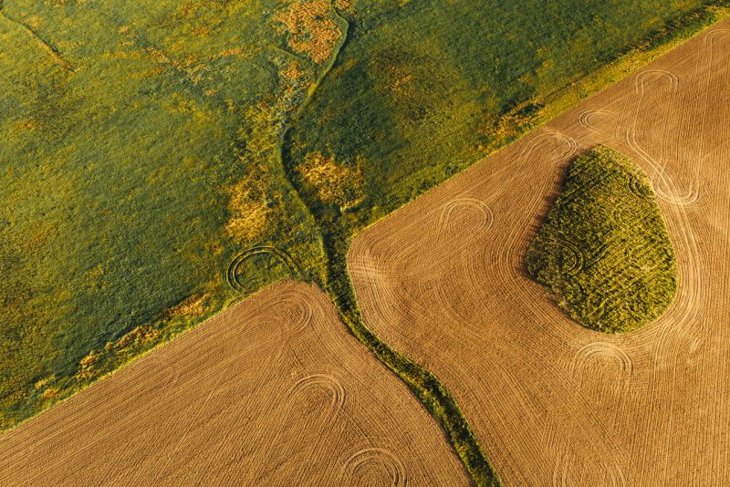Аэроснимок сельхозугодий