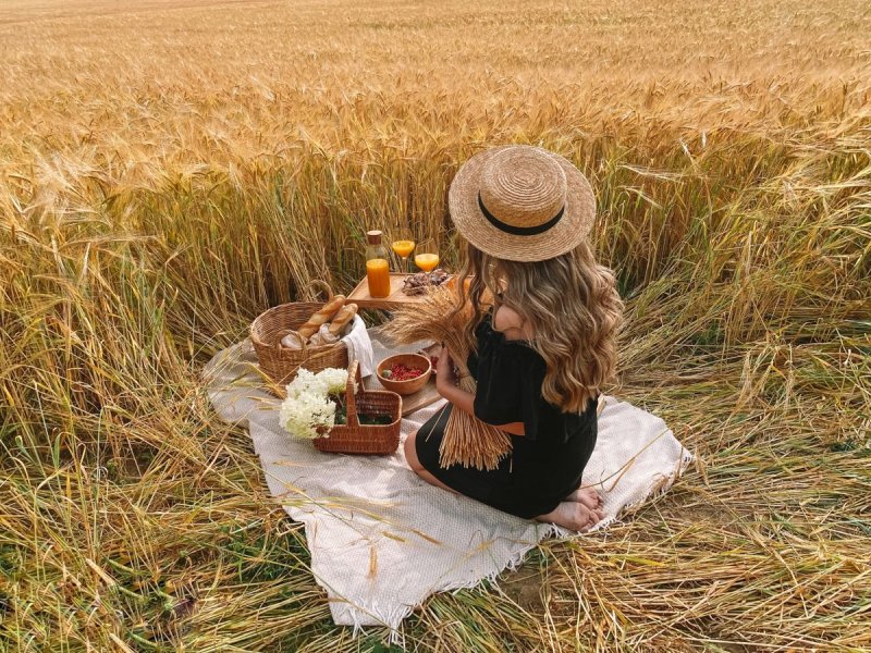 Пикник в пшеничном поле