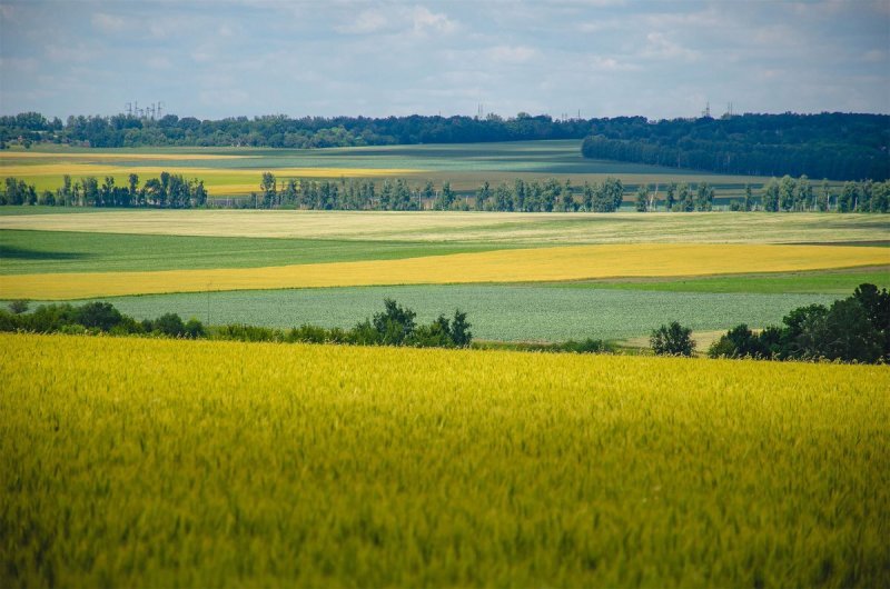 Равнины Белоруссии