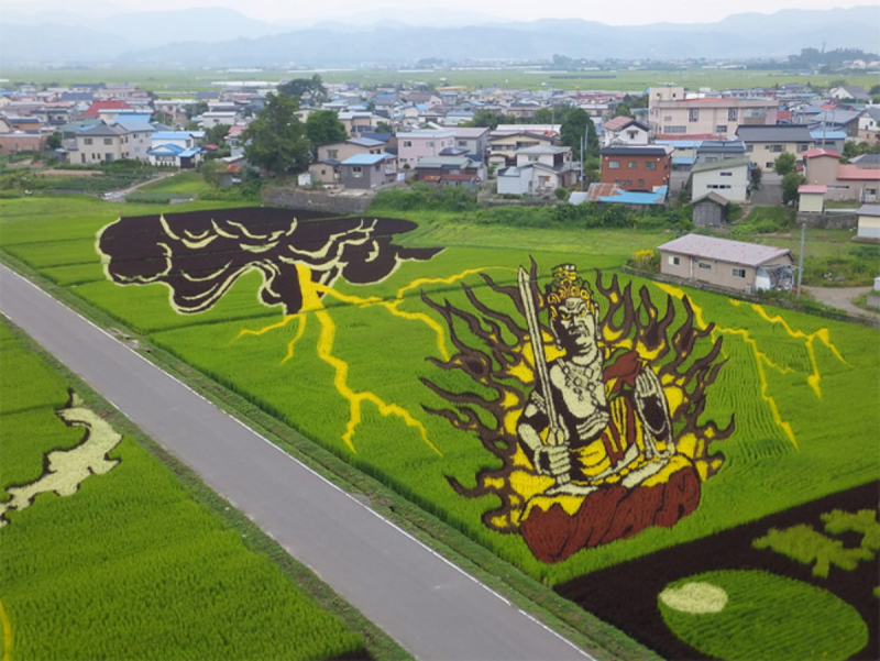 Инакадате Япония рисовые поля