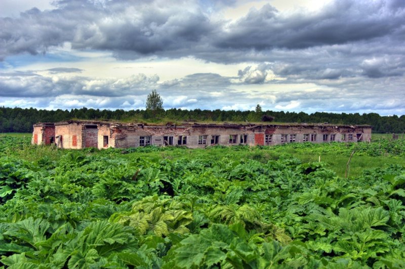 Заброшенные фермы в России