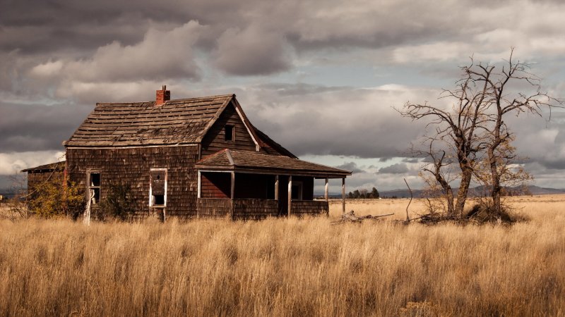 Одинокий домик в поле