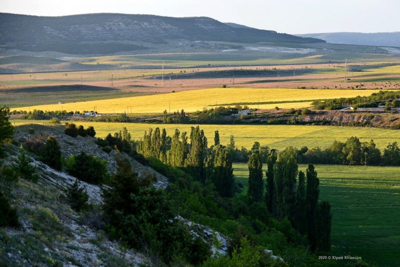 Село золотое поле Крым