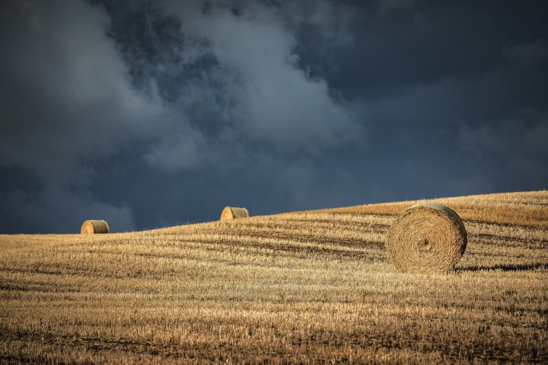 Штат Айова кукурузное поле