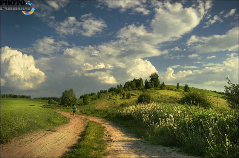 Пейзажи Беларуси поля