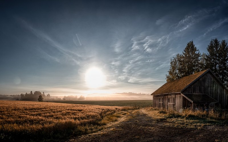 Заброшенные поля и полуразрушенные хутора в Латвии