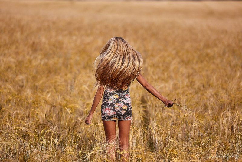 Ребенок в поле со спины