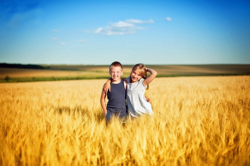 Дети в пшеничном поле