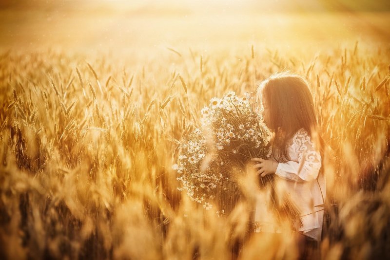 Ребенок в поле пшеницы