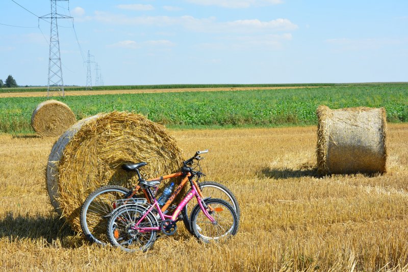 Велосипед урожай