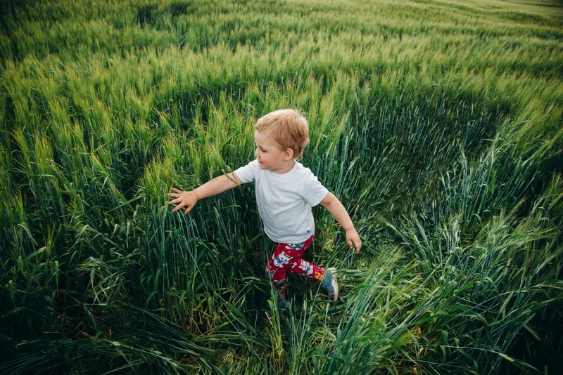 Мальчик около поле