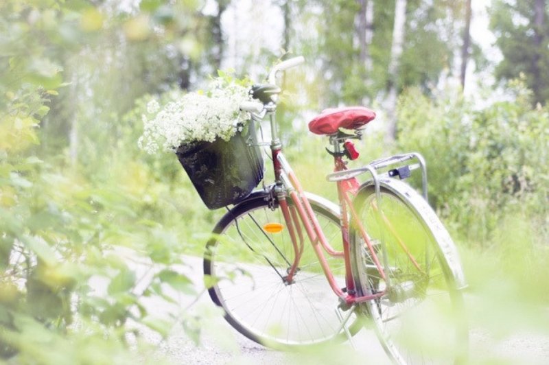 Велосипед с корзинкой цветов на природе