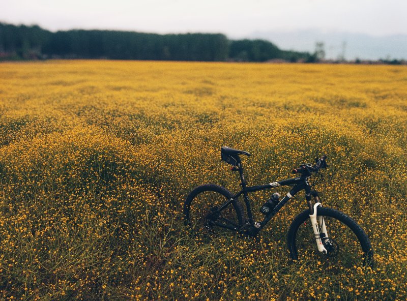Пейзаж с велосипедом