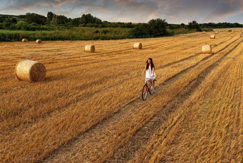Велосипед поле пшеница