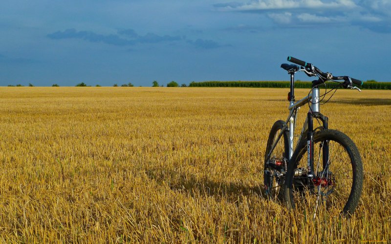 Велосипедист в поле