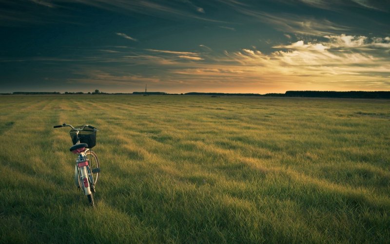 Летом на велосипеде в поле
