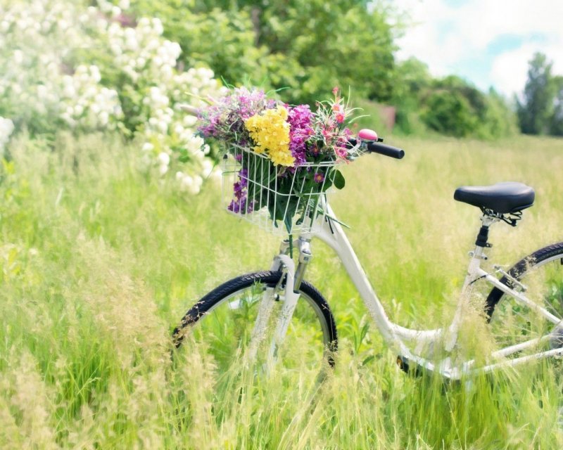 Весенний велосипед