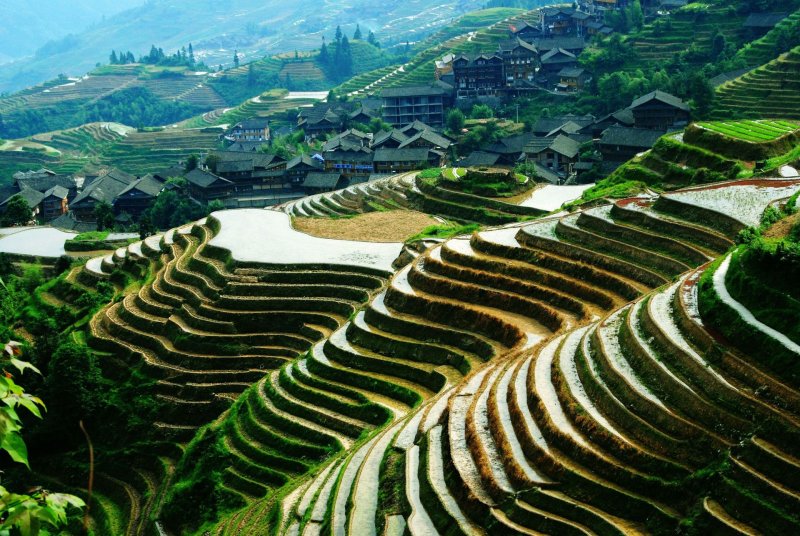 Рисовые террасы Луншэн Китай
