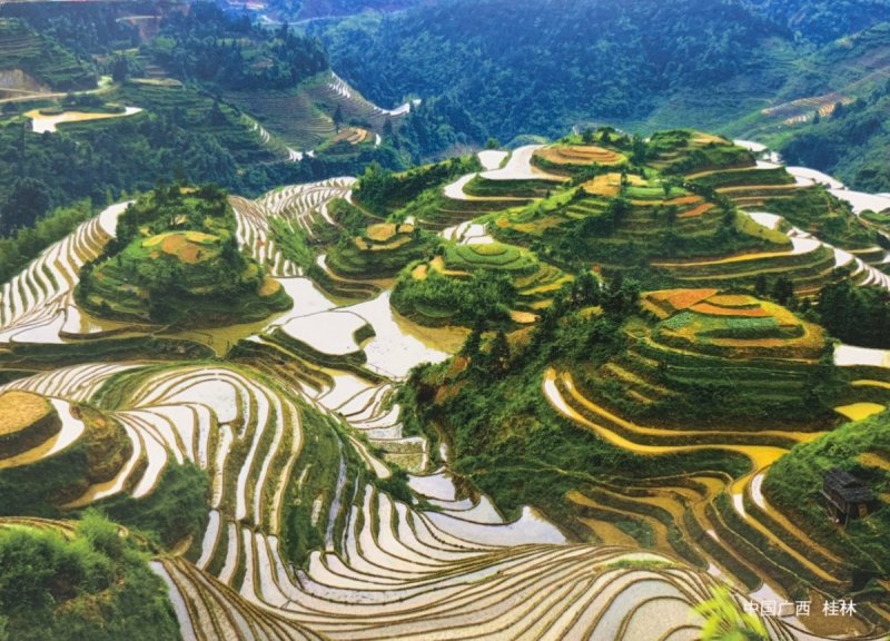 Рисовые террасы Лунцзи в Китае