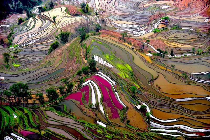 Китай Гуйлинь рисовые террасы