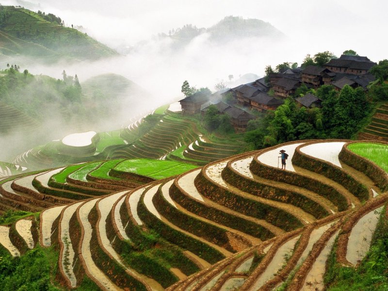 Гуанси Китай рисовые террасы