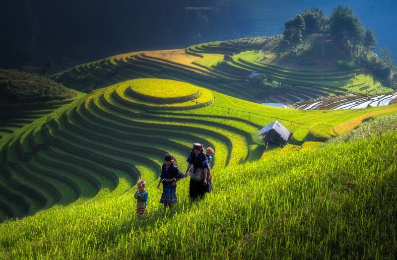 Рисовые поля Хунхэ-Хани