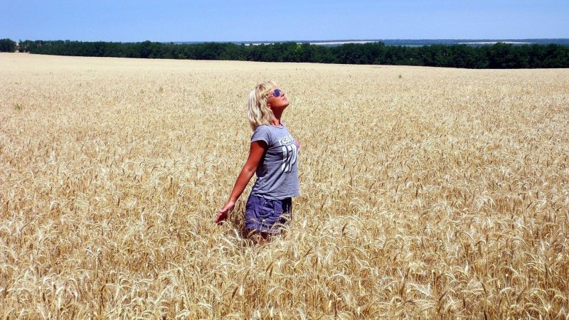 Блондинка в пшеничном поле